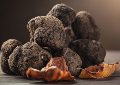 specie di tartufo blurb