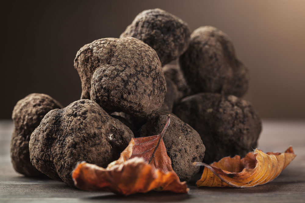 Specie di Tartufo