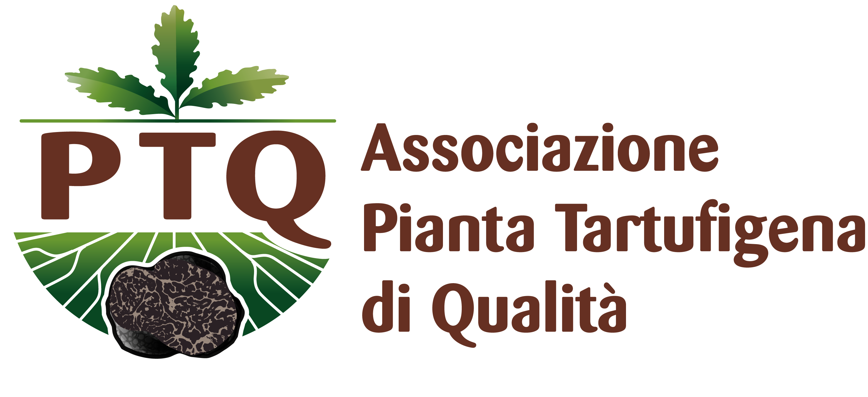 Pianta Tartufigena di qualità