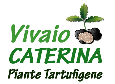 Logo_Vivai_Caterina_Trasparente